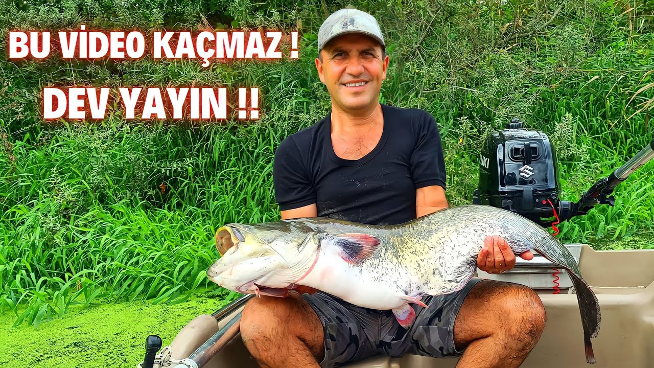 Yayın Avı | Balık Avı | Yayın Balığı | Dev Balıklar | Fishing | Catfish | Big Catfish