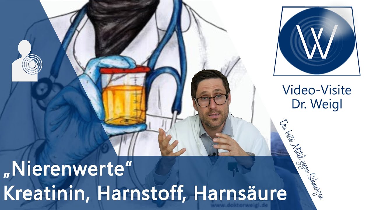 Erhöhte Nierenwerte in Blut & Urin 🔎 Kreatinin, Harnsäure, Harnstoff & Cystatin C verbessern