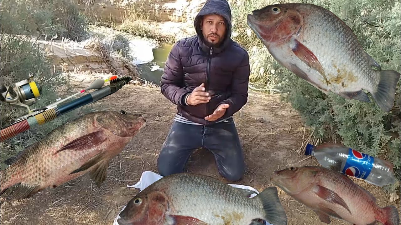 #صيد السمك | ملخص فيديوهات صيد السمك البلطي بالريم من شلالات وادي الريان في الشتاء موسم 2024