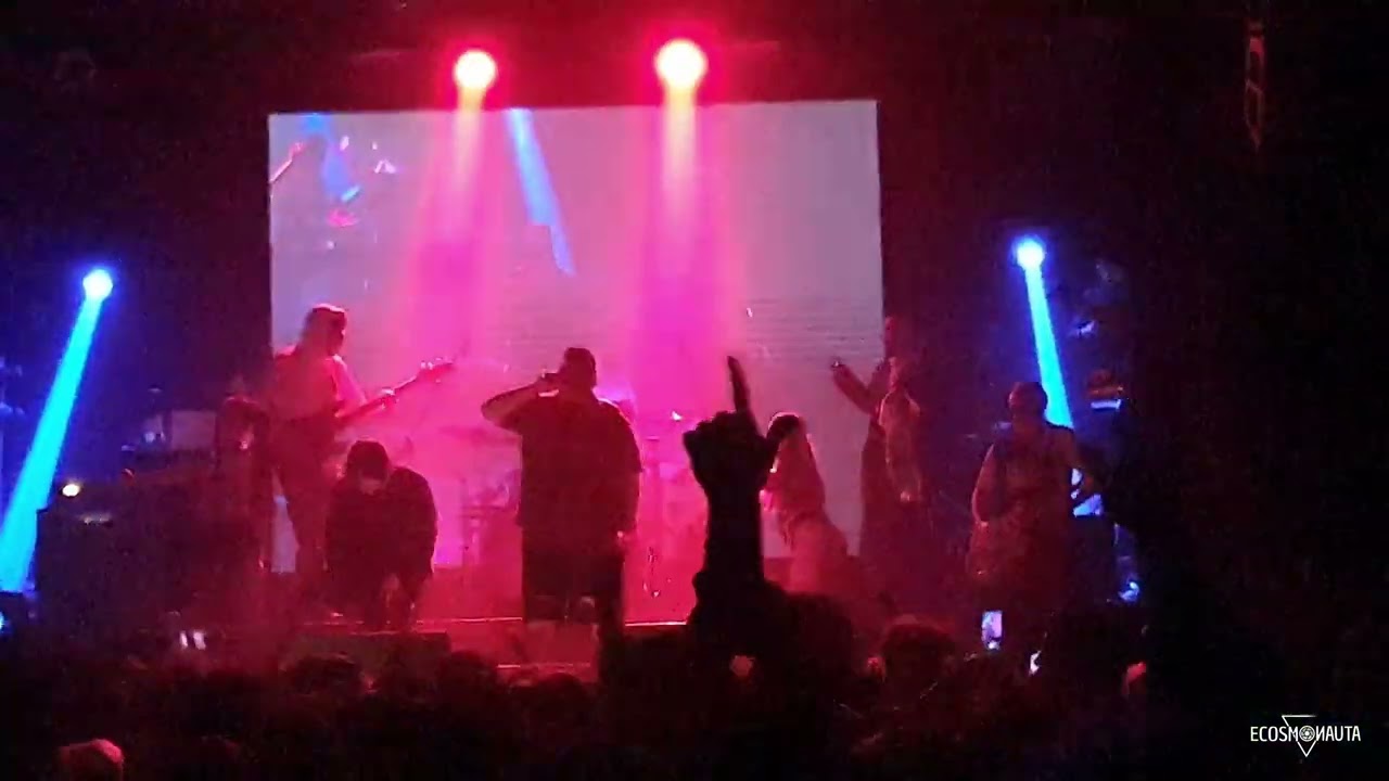 Mi amigo - El Doctor en vivo - Niceto 22/08/22