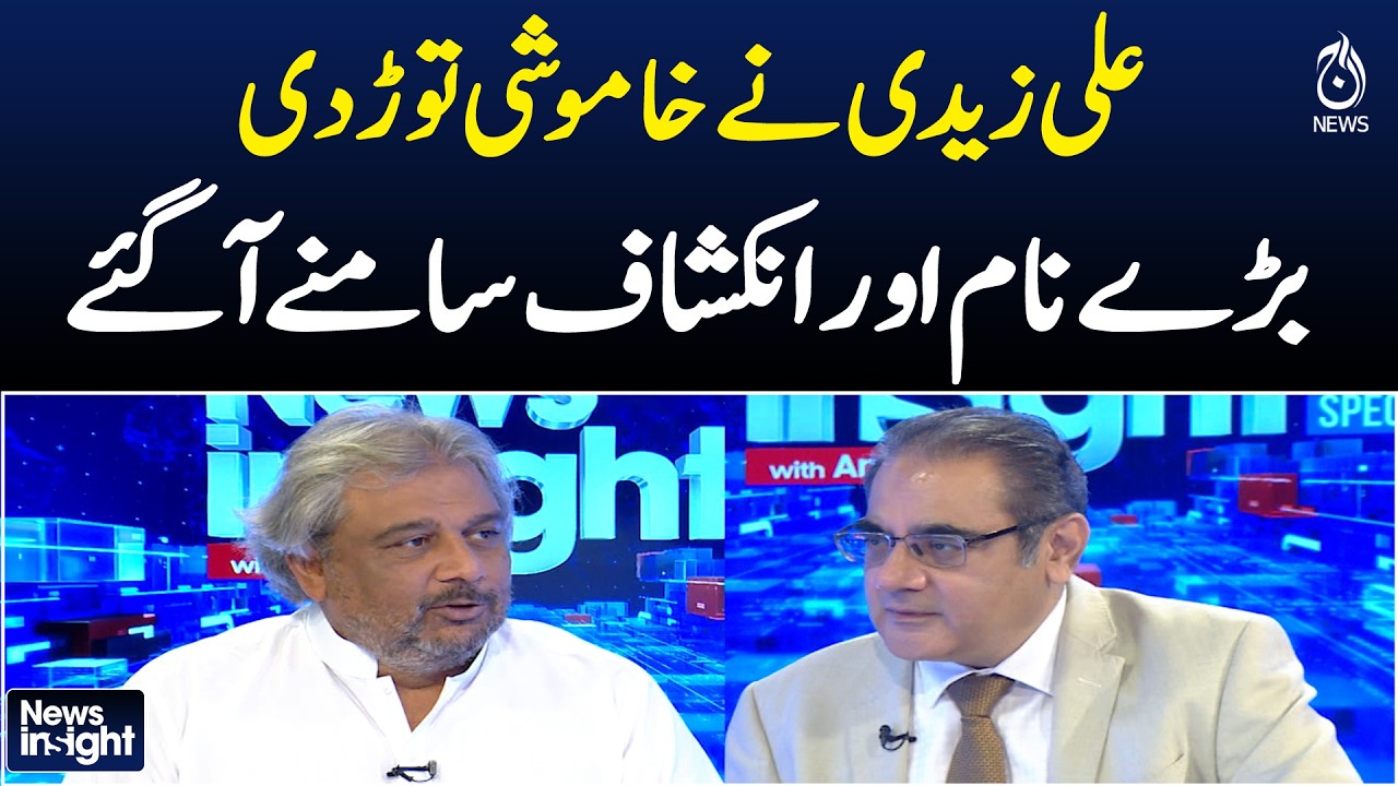 Ali Zaidi | Major Revelations | Big Names | Political Statement | NEWS INSIGHT SPECIAL With Amir Zia