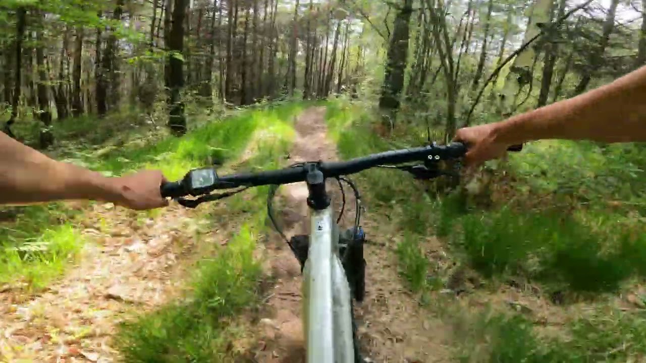 off road in calisio