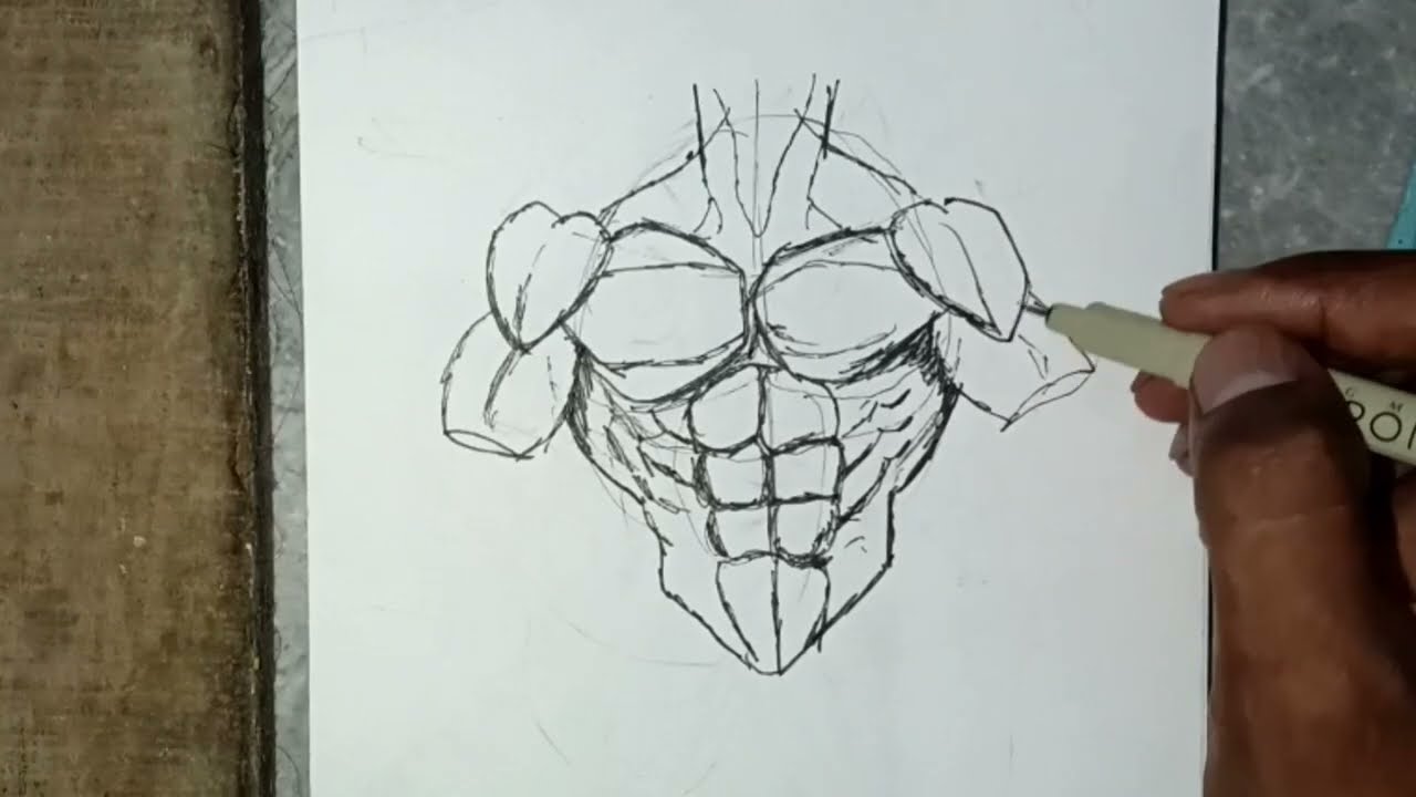 How to draw six pack. How to draw abs. How to draw six pack abs anime.