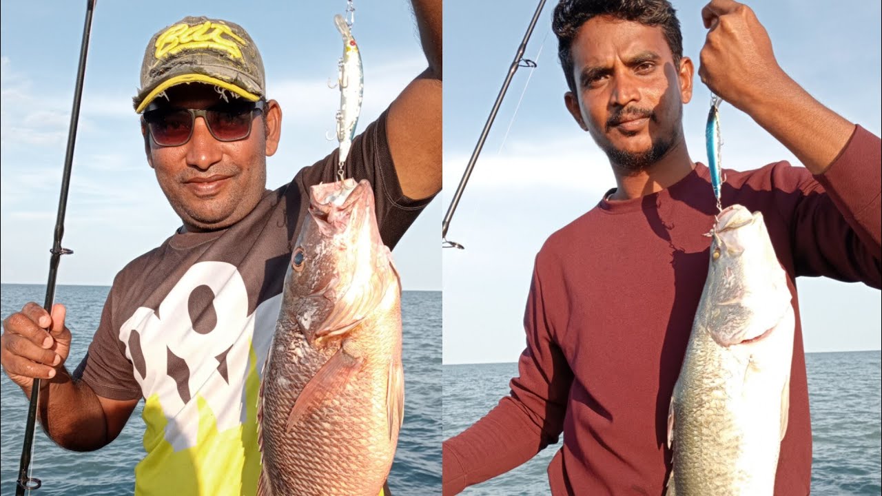 சல்லித்தீவு பகுதி இரண்டு