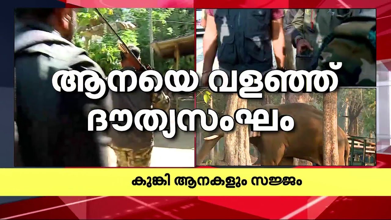 ആളെക്കൊല്ലി കാട്ടാനയ്ക്ക് അരികിലെത്തി ദൗത്യസംഘം | Wayanad Elephant