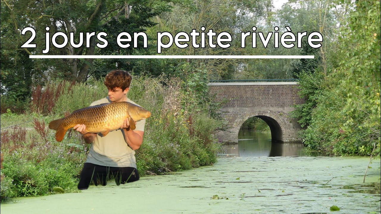 PÊCHE de la CARPE en petite RIVIÈRE ~ Comment aborder la rivière ~ carpfishing 