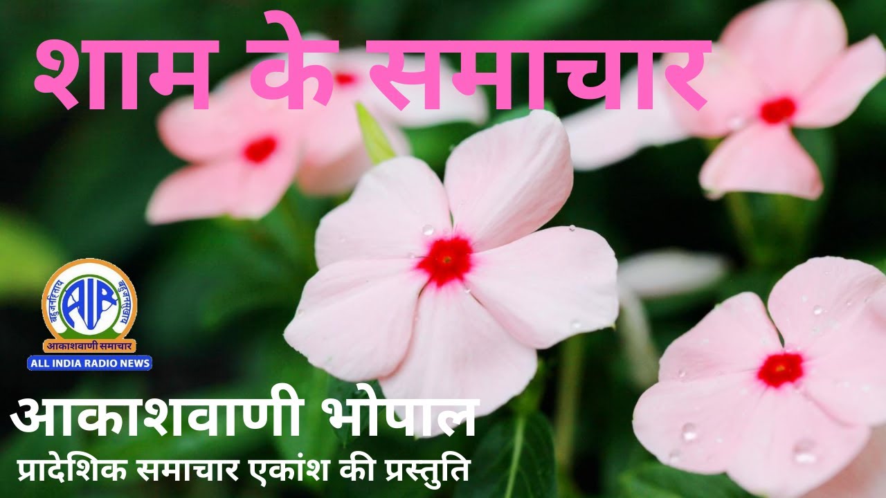 क्रिकेटर रवींद्र जडेजा आज रायसेन मे सांसद खेल महोत्सव के समापन  में हुए शामिल
