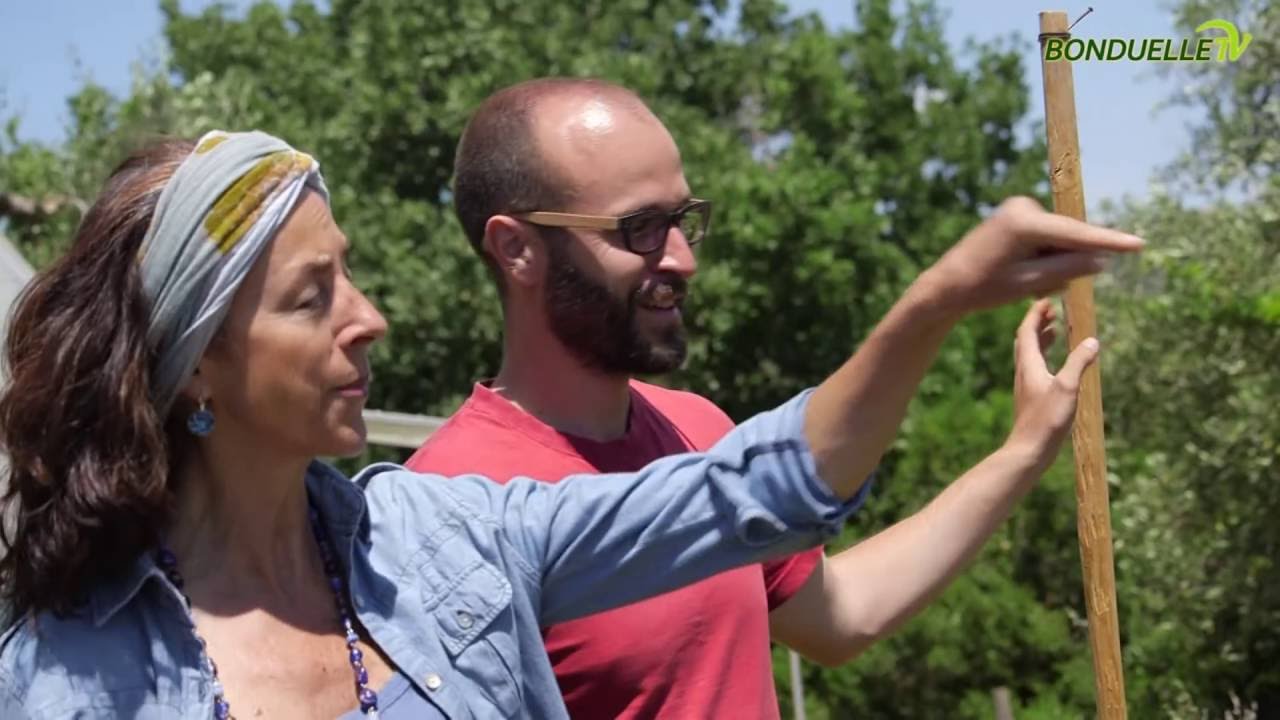 L'angolo degli ortaggi curiosi: la tuberina - Bonduelle TV - A spasso nell'orto