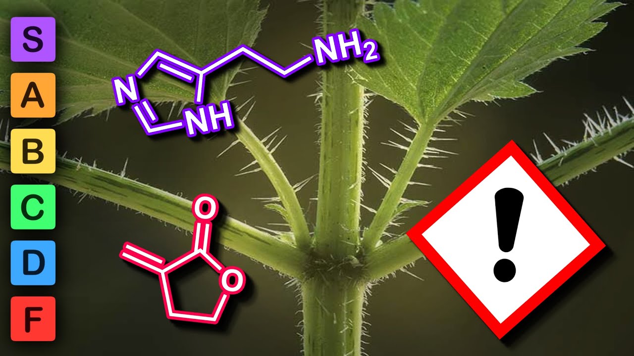 The Plant Irritant Tierlist (Plant Irritant Lore)