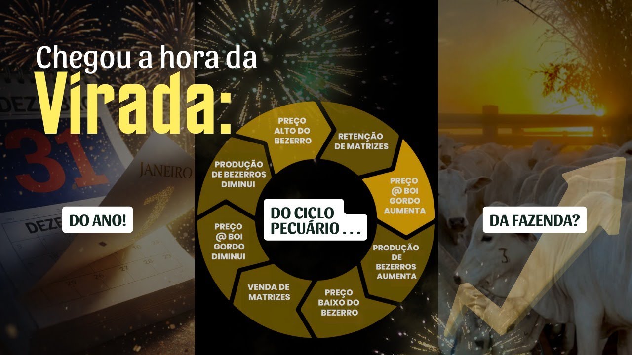 Vídeo #65 - Decisões estratégicas em tempos de mudança no setor agropecuário
