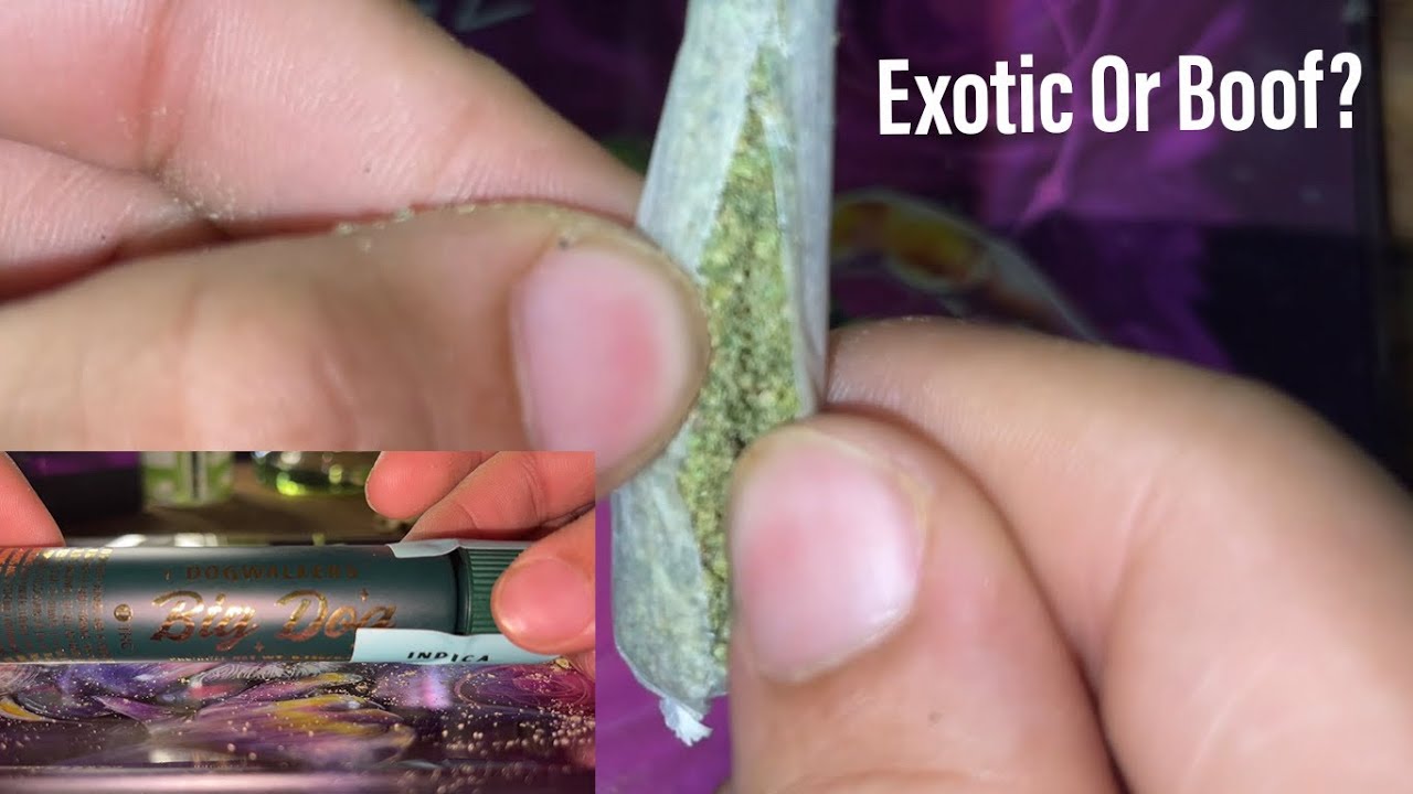 What&rsquo;s INSIDE Your Pre-Roll? (IL EDITION)