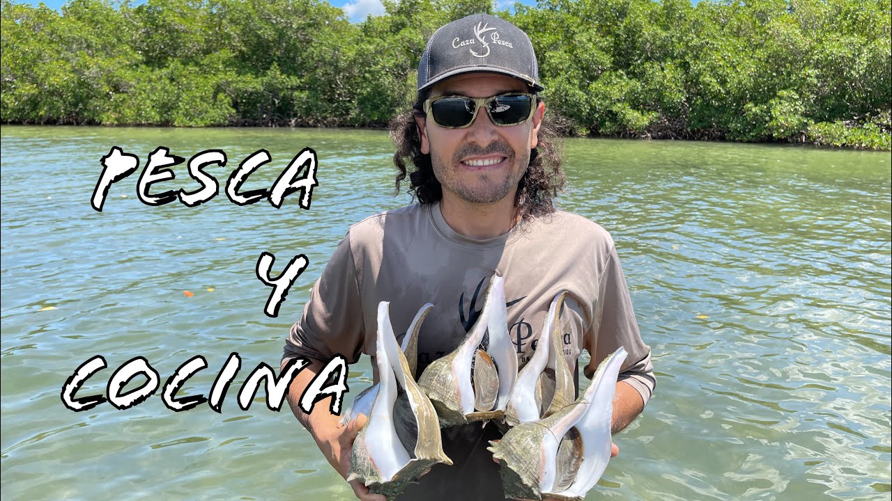 El Paraiso De Los Caracoles Pesca Y Cocina