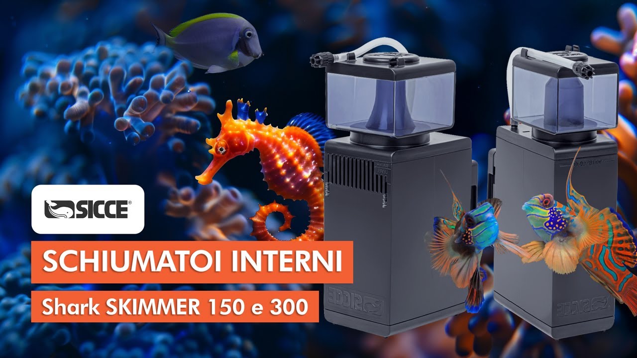 NUOVI SCHIUMATOI SICCE | SHARK SKIMMER 150 e 300 | ACQUARIO MARINO 🪸