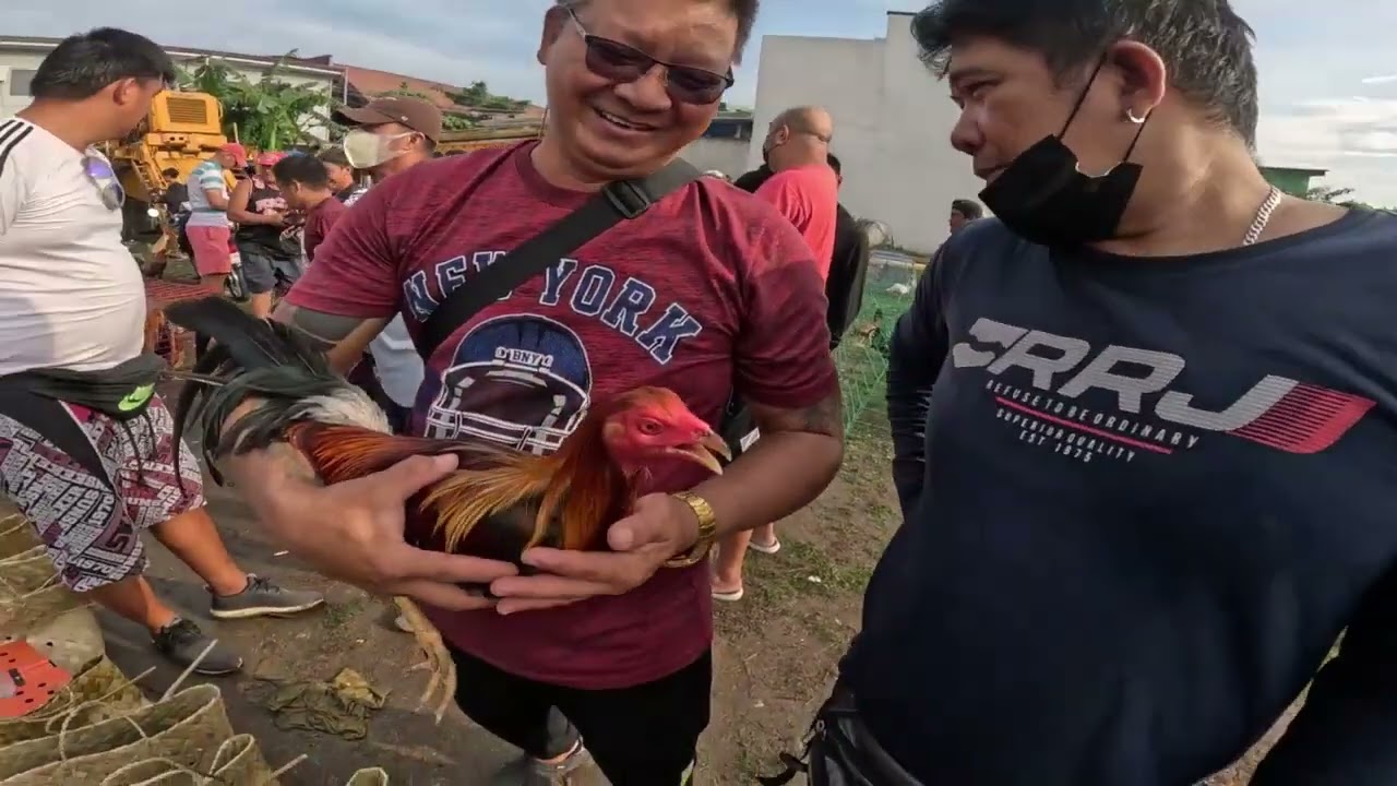 1500 presyuhan ng manok ni boss jerom galing pa nueva ecija !.