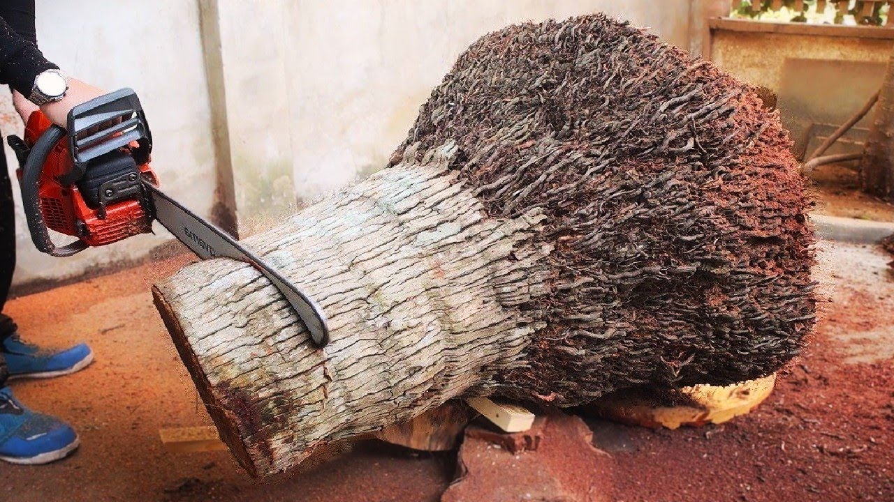 Genius Boy Left 'Speechless' By Restoration Of 300-Year-Old Antique Tree Stump: Woodworking Products