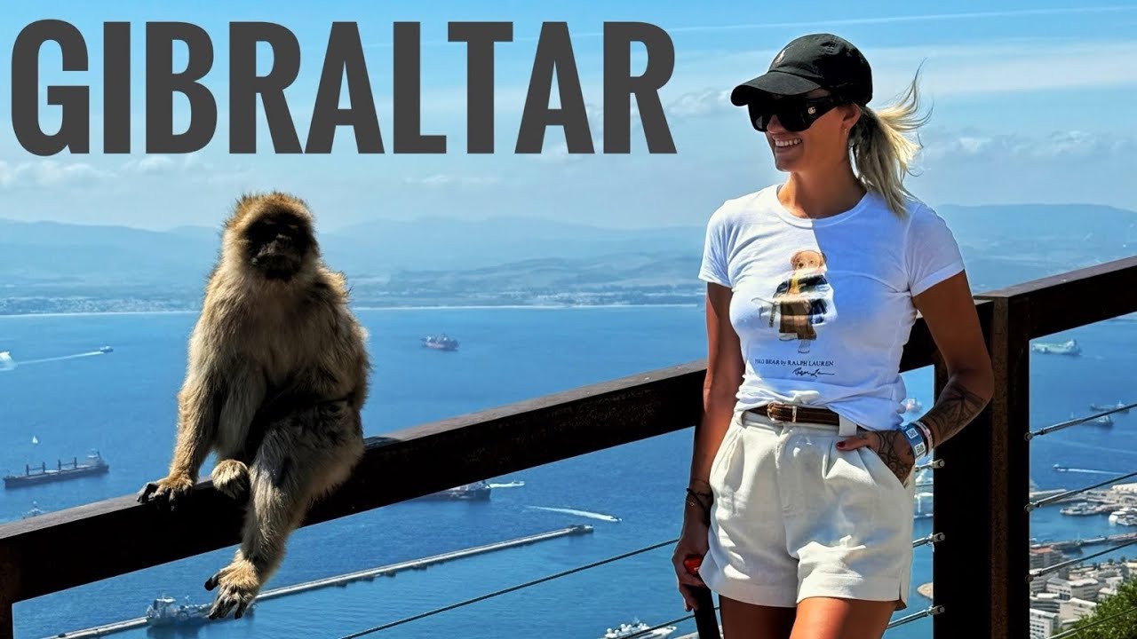 Знаменитые обезьяны Гибралтара и виды, захватывающие дух! 🐒🌊