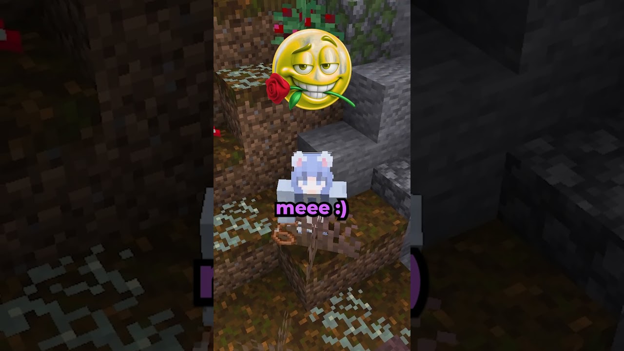 Minecraft Secrets I shouldn't tell you 🤫 