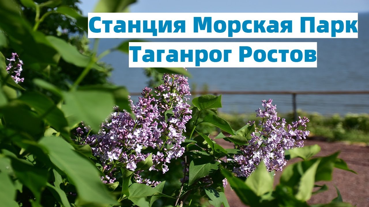 Ростовская область/Станция Морская Парк/Пляж