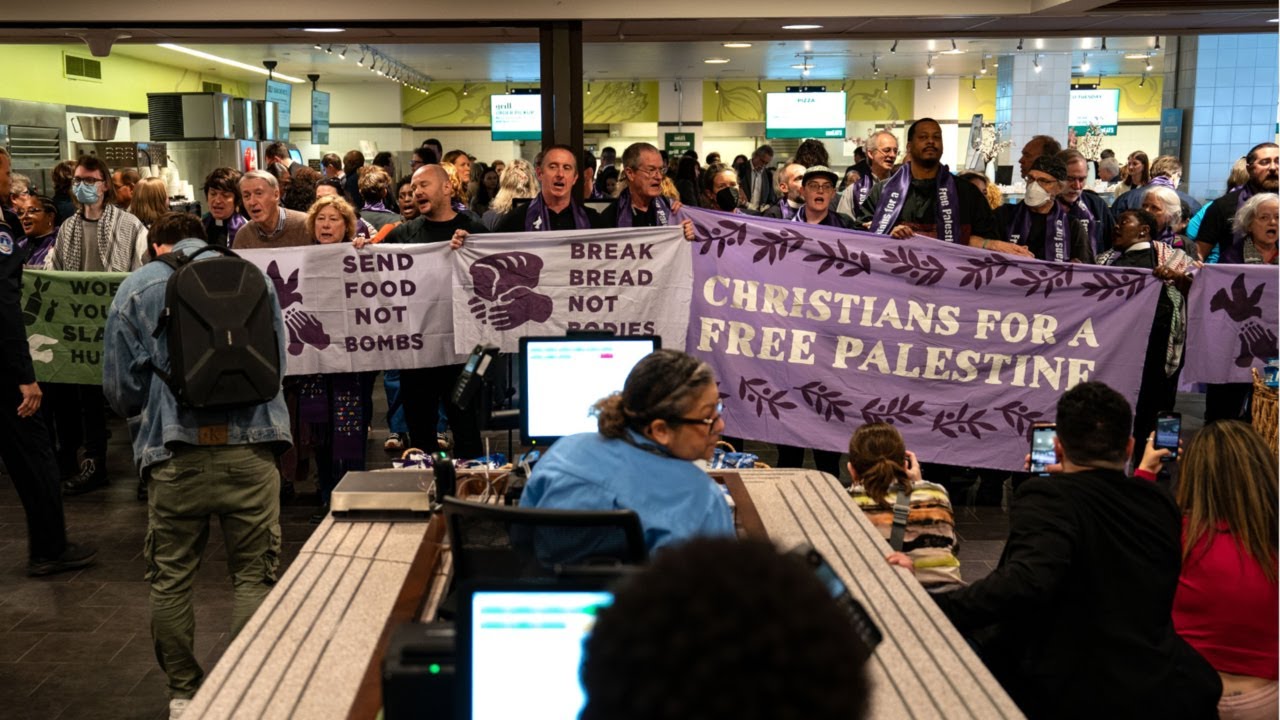Watch as pro-Palestine protesters storm US Senate office building