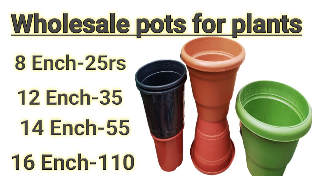 Wholesale pots in hyderabad | Low cost Good quality pots | పూల కుండీలు అతి తక్కువ ధరకు లభించే ప్లేస్