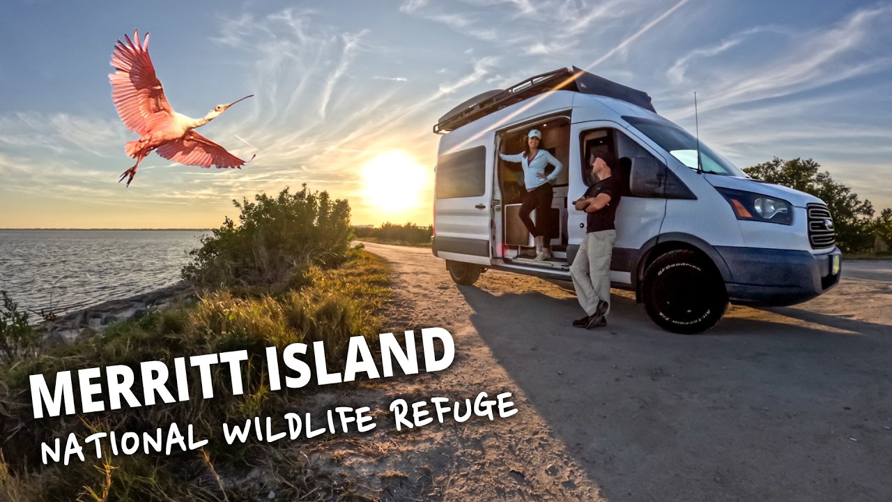 An Epic Florida Adventure 🐊 Merritt Island National Wildlife Refuge