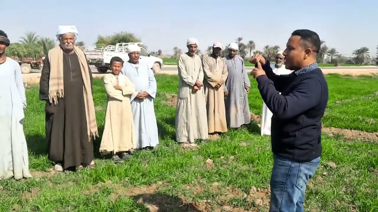 كيفه تحصل على اعلى انتاجيه من محصول القمح د/ياسر النوش