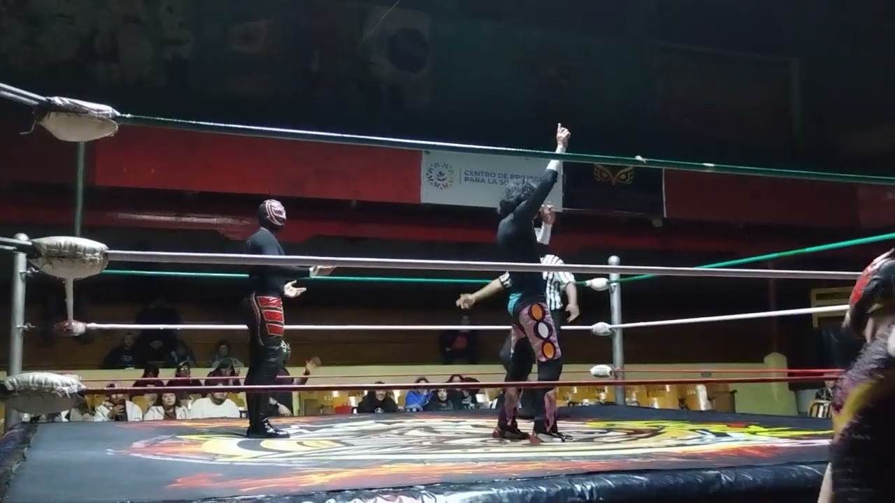 Arena afición domingo 18 de enero, tercera caida