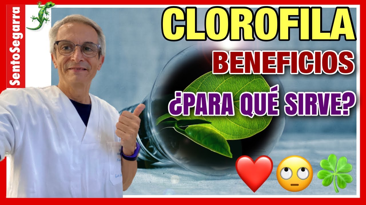 ✅ CLOROFILA BENEFICIOS ❤️ ¿Para qué SIRVE REALMENTE? 🥰