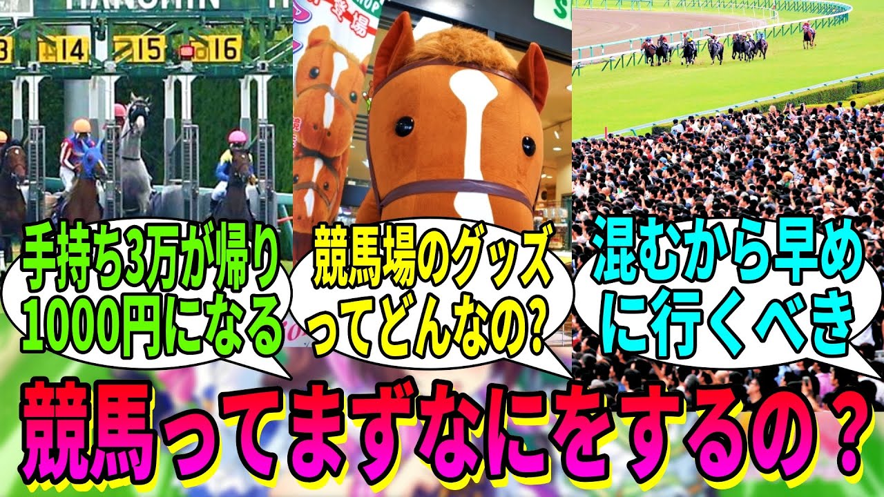 【競馬の反応集】「競馬デビューしたいから教えてほしい」に対する視聴者の反応集