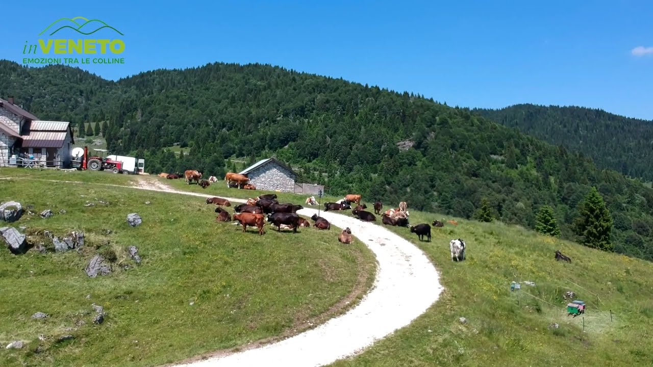 In Veneto, Emozioni tra le Colline - Alla scoperta della Pedemontana Veneta