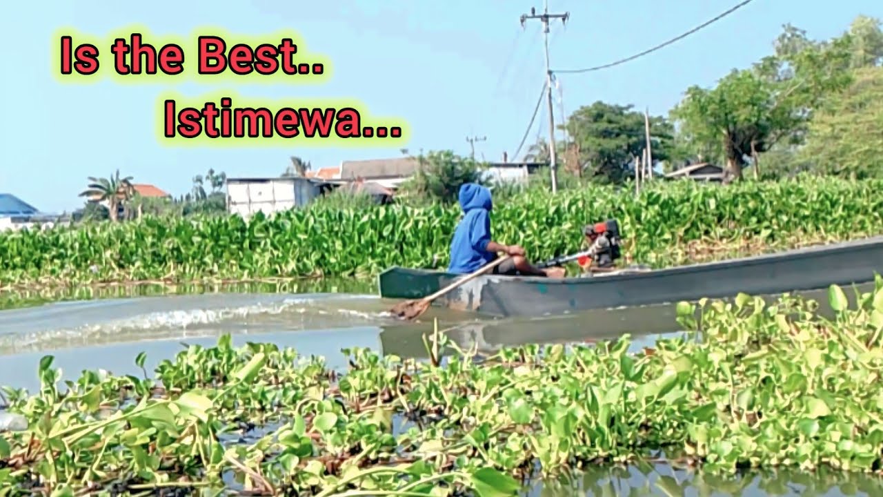 Alhamdulillah, Mancing di tepi jalan, sungai Lamongan