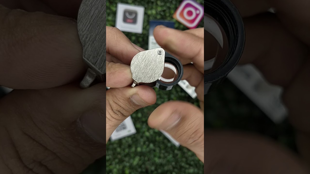 Bausch & Lomb Hastings