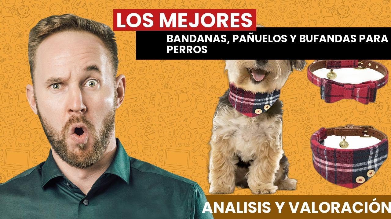 Las mejores BANDANAS, PA&Ntilde;UELOS y BUFANDAS para PERROS