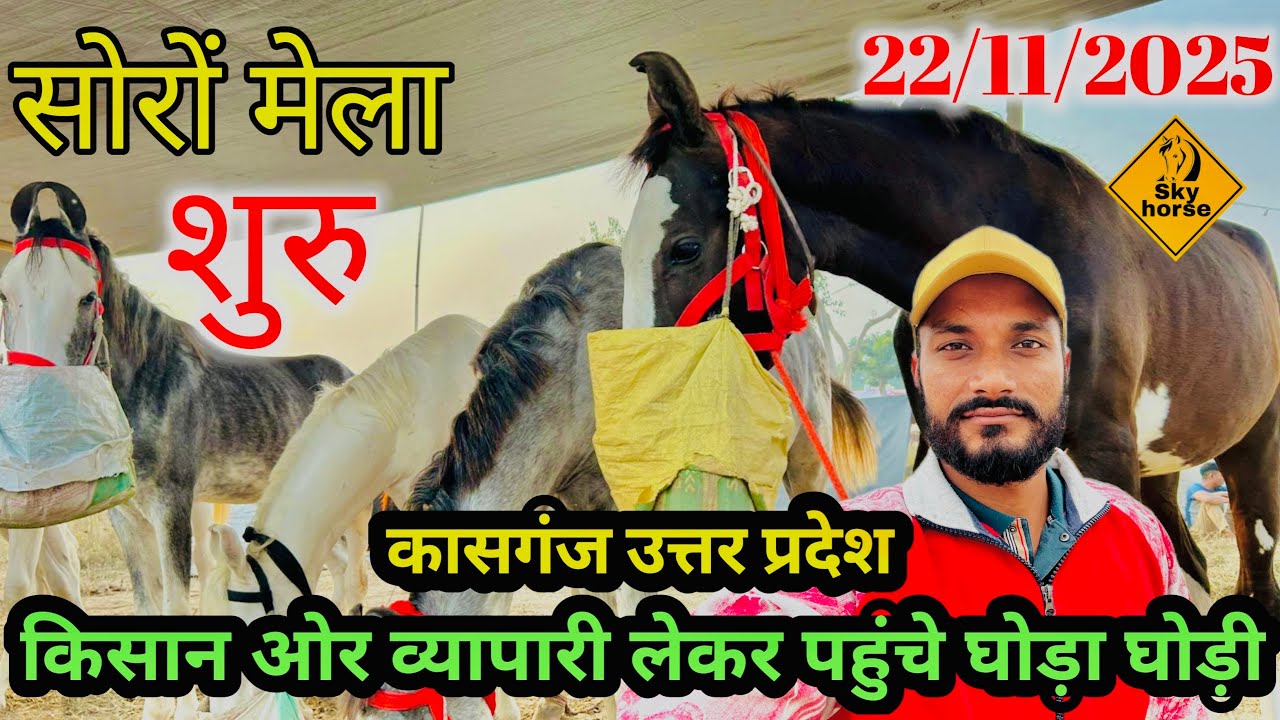 सोरों मेला शुरू व्यापारी और किसान लेकर पहुँचे घोड़ा घोड़ी |#soronmela2025