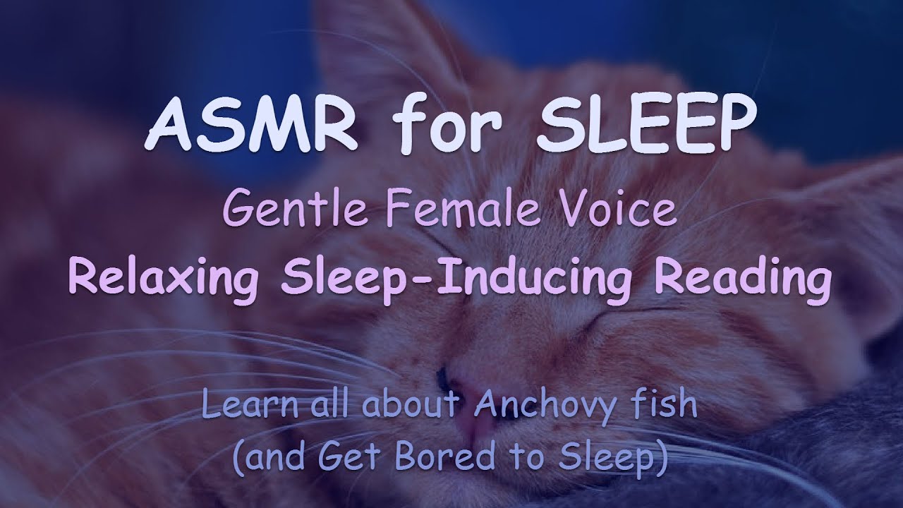 ASMR Calming Sleep Inducing - Gentle Reading - Soft Talking - Female ASMR Voice