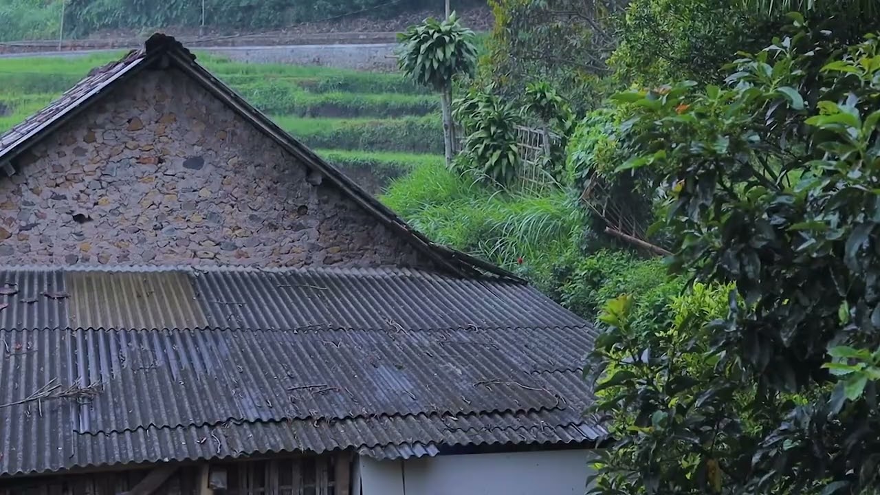 Gentle Evening Rain: Soothing Melodies for Relaxation and Sleep