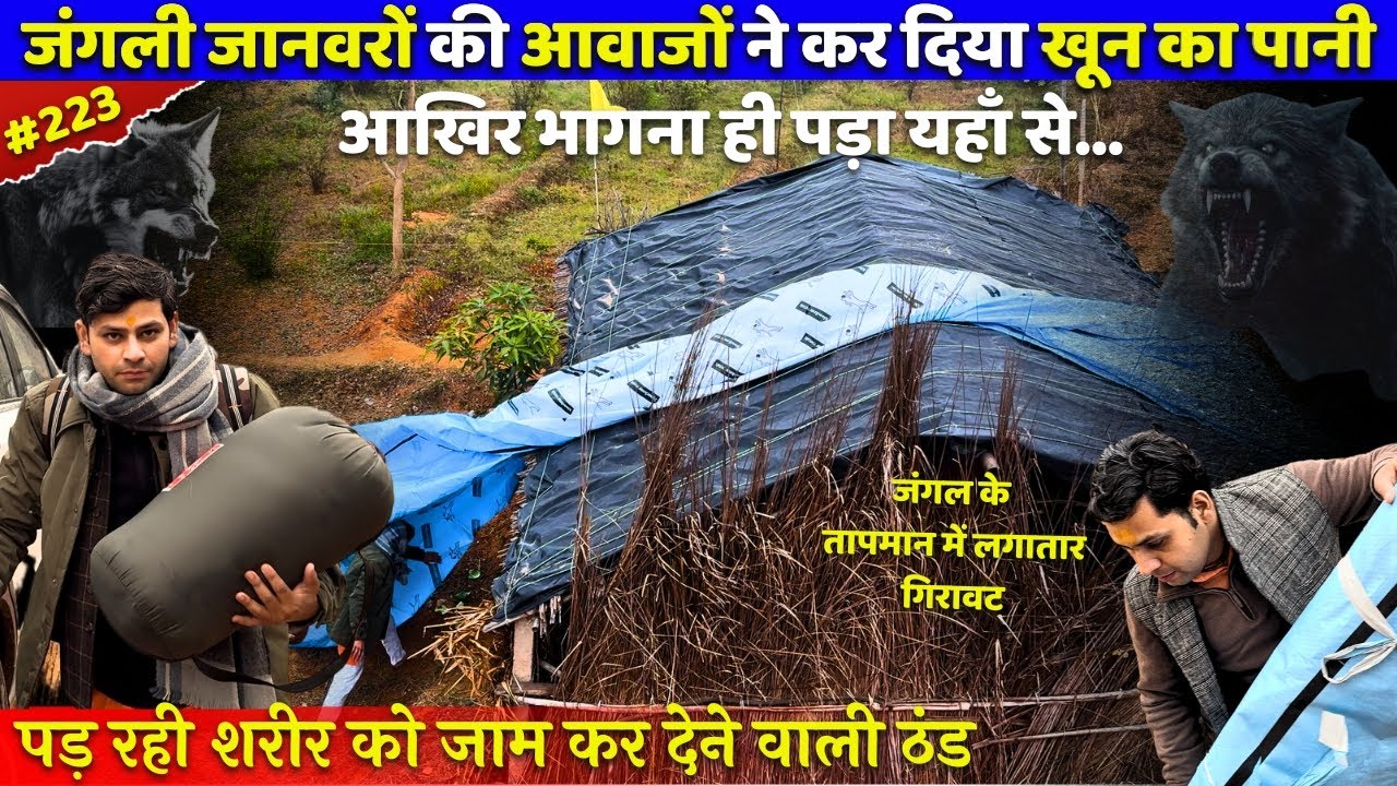 पड़ रही शरीर को जाम कर देने वाली ठंड... जंगल के तापमान में लगातार गिरावट  @BrajVihar #radharani