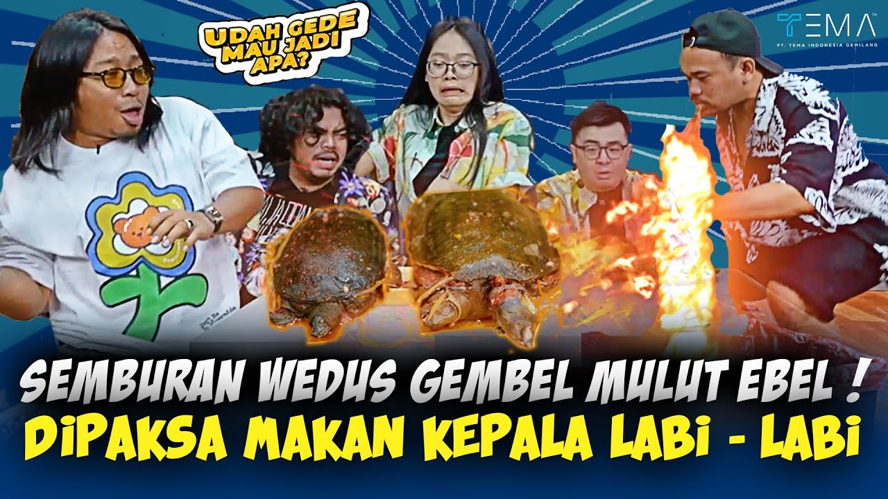 EBEL COBRA NYEMBURIN LAVA LAGI ⁉️🤣 MUKBANG LABI-LABI w/ DINI SI PEMAKAN SEGALA‼️