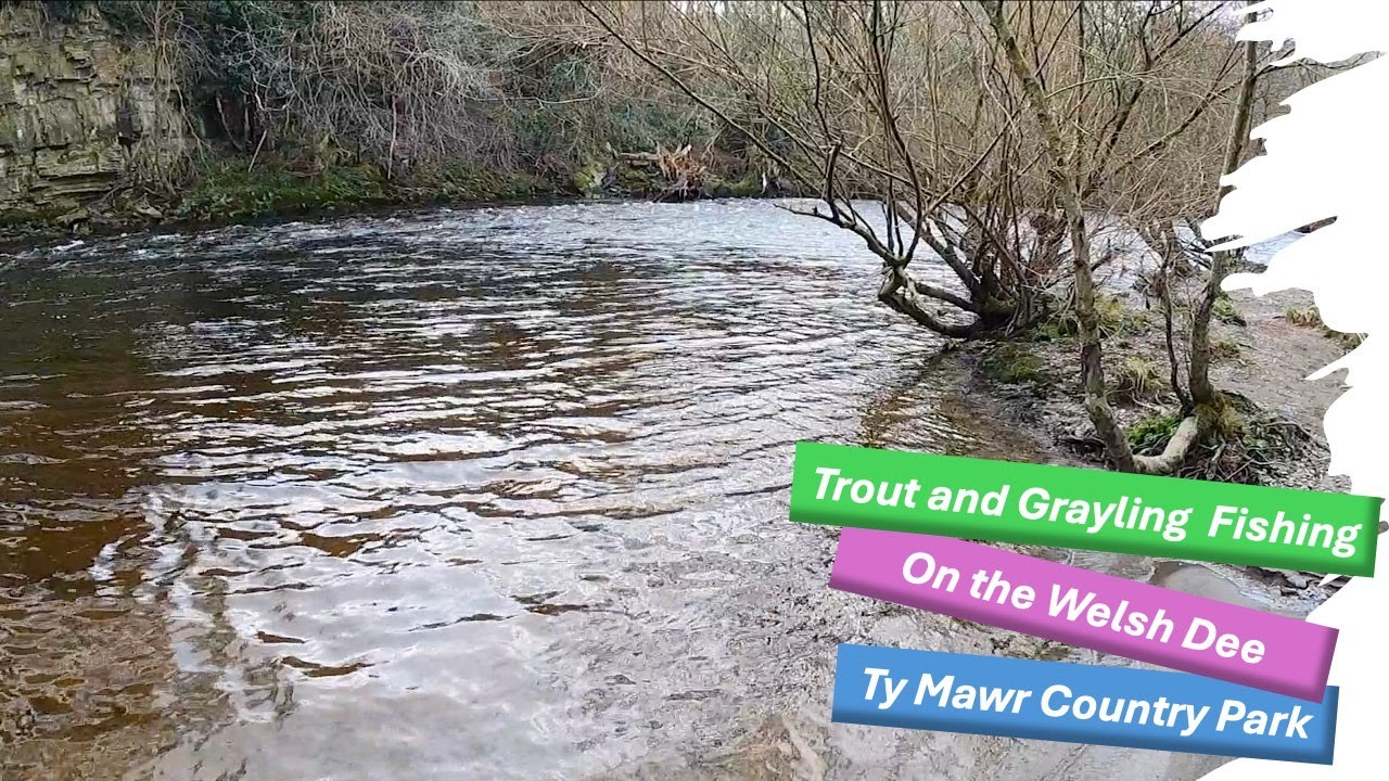 Fishing the Ty Mawr Country Park beat of the Welsh Dee