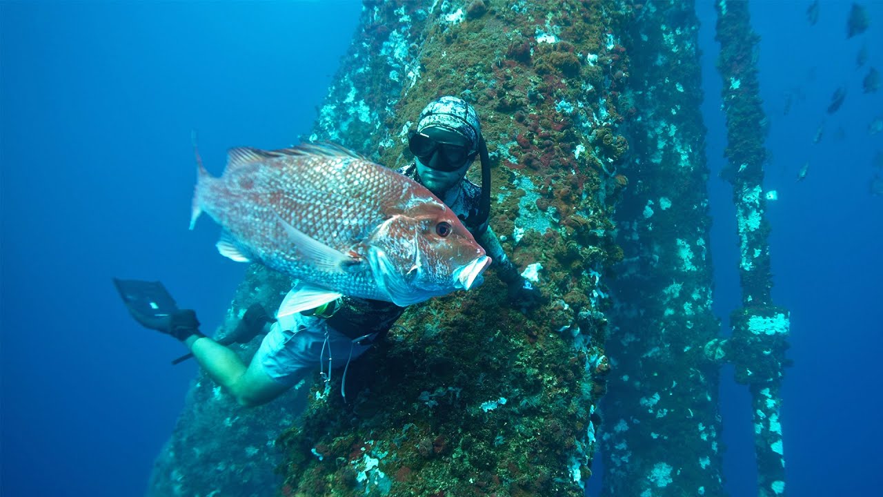 Beautiful Water Spearfishing Cutoff OIL RIGS & Sick Fish? {Just Diving w/ Voiceover Breakdown}