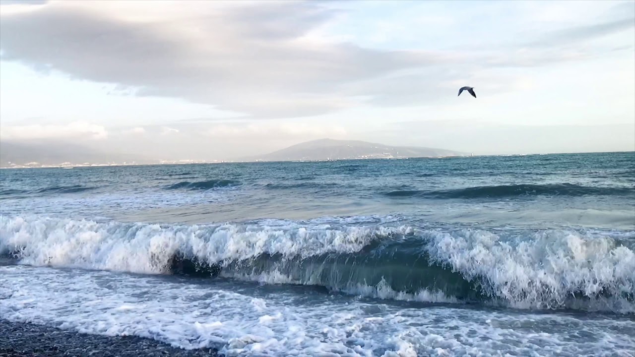 Звуки моря 40 минут релакса! МОРСКОЙ ПРИБОЙ.  Шум моря для СНА.Black Sea
