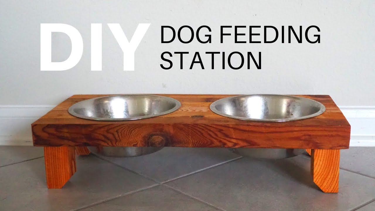 DIY RAISED DOG BOWL STAND - Modern + Farmhouse Decor