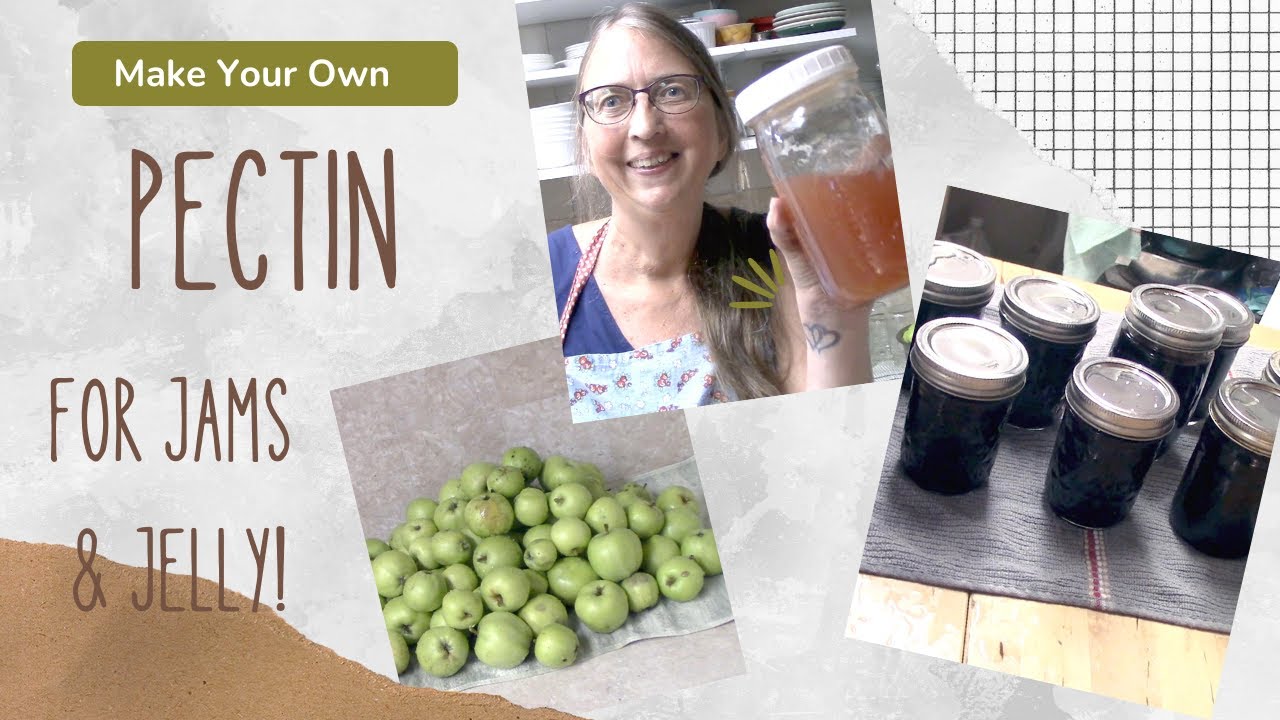 Learn How to Make Your Own Pectin! For Homemade Jams and Jelly! | Old Fashioned Homemaking Skills!