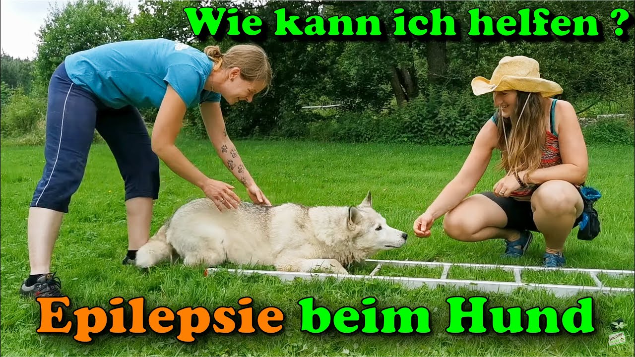 Epilepsie beim Hund - Wie kann ich helfen ? / Hundephysiotherapie für zu Hause / Nature Trails