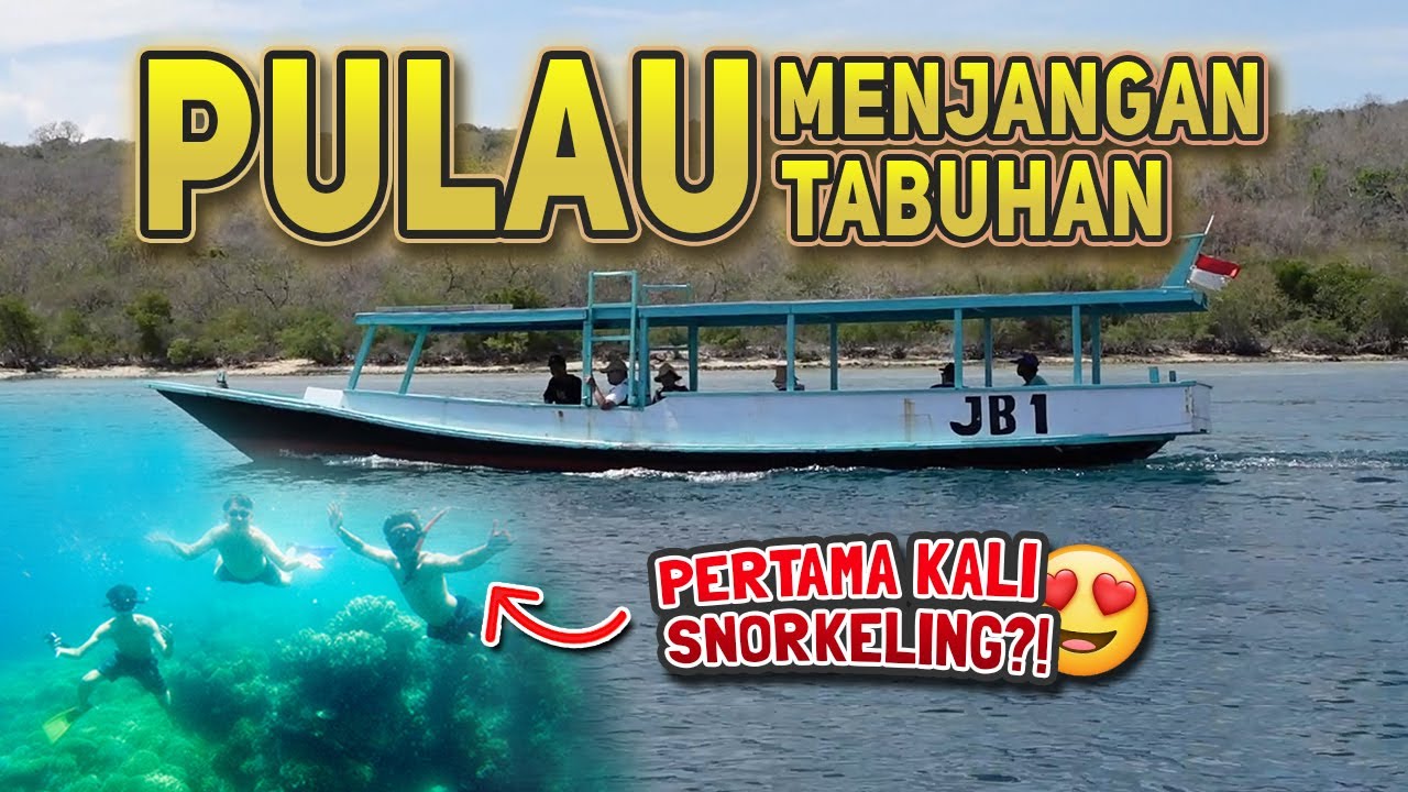 Menyelam di Pulau Menjangan (TN Bali Barat)🇮🇩⁉️ Lanjut Eksplor Pulau Tabuhan dan Air Terjun Jagir😍⁉️