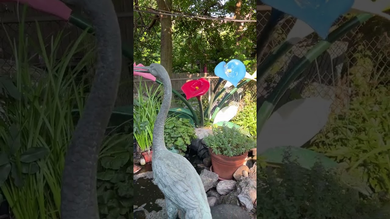 3226 WEST CARROLL GARDEN 2025