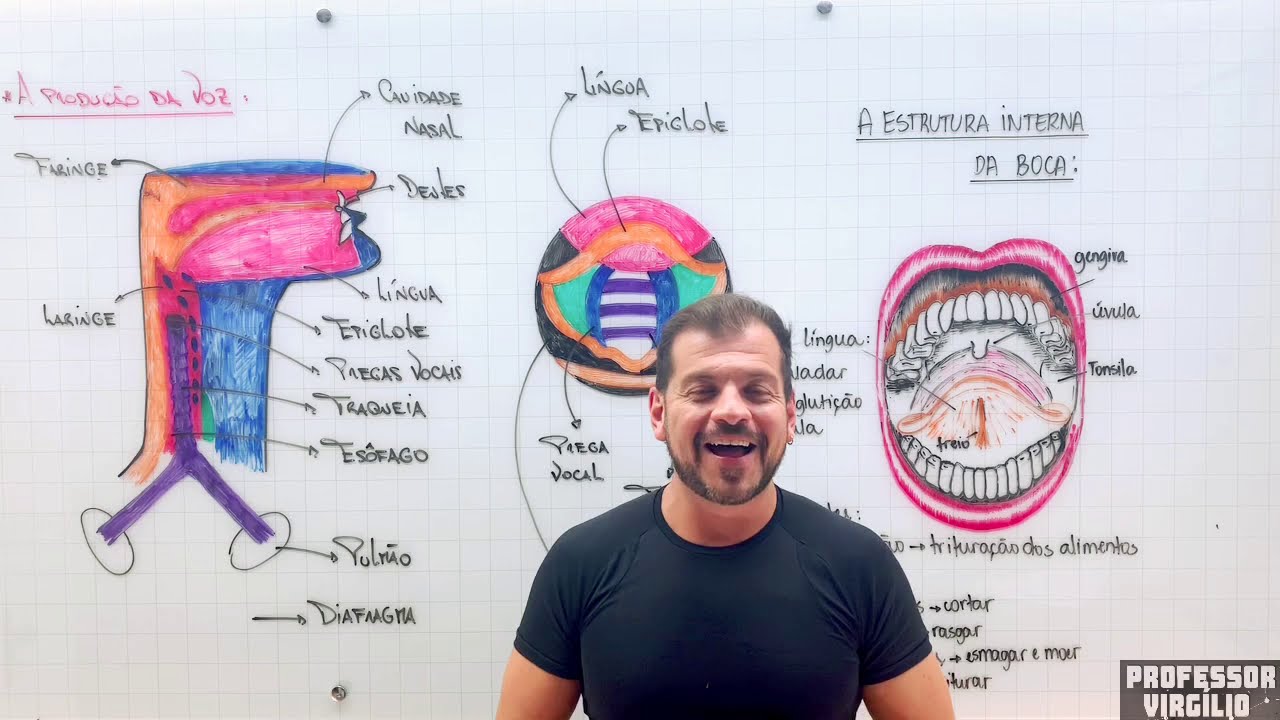 Física e Biologia - A produção da voz