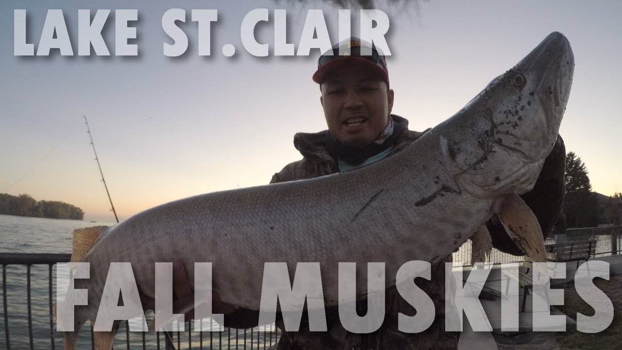 EPIC SHORE MUSKY BITE ON LAKE ST.CLAIR