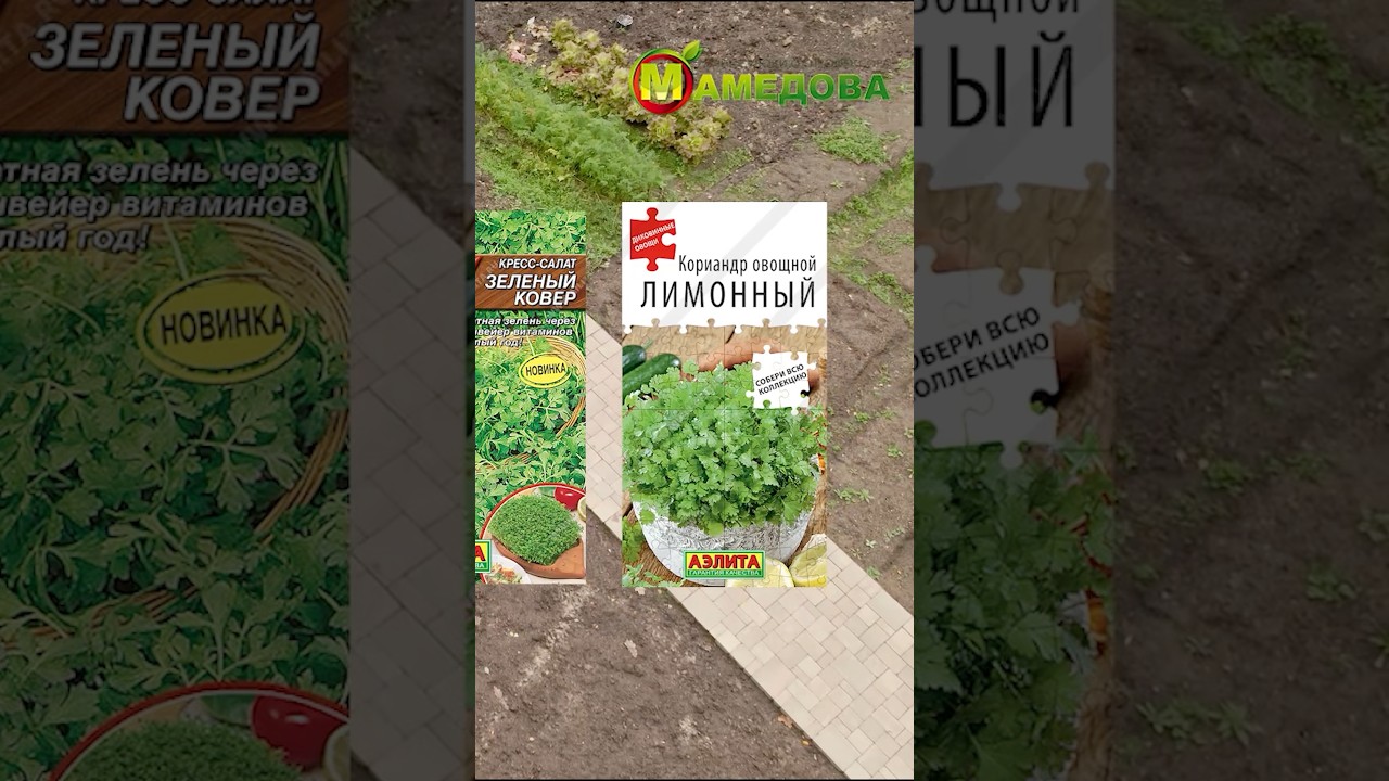 Посейте эти культуры ПОД ЗИМУ! 🌱❄️#сад #дача #огород #семена # #аэлита