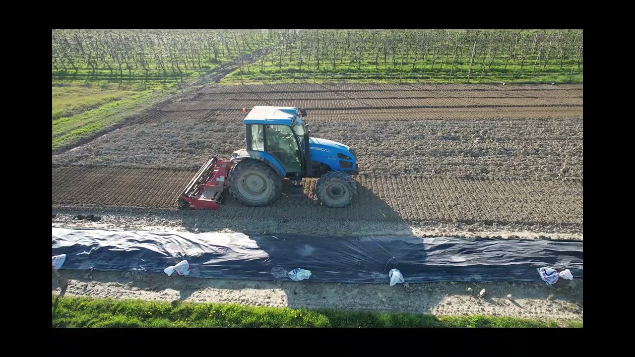 Lavorazione del terreno con landini ghibli 80 e erpice rotante